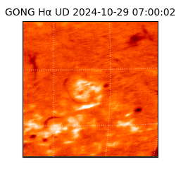 gong - 2024-10-29T07:00:02