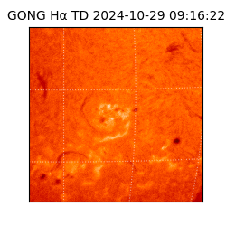 gong - 2024-10-29T09:16:22