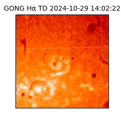 gong - 2024-10-29T14:02:22