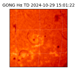 gong - 2024-10-29T15:01:22