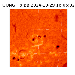 gong - 2024-10-29T16:06:02