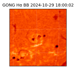 gong - 2024-10-29T18:00:02