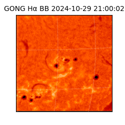 gong - 2024-10-29T21:00:02