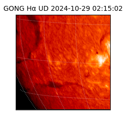 gong - 2024-10-29T02:15:02