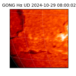 gong - 2024-10-29T08:00:02