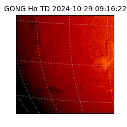 gong - 2024-10-29T09:16:22