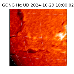 gong - 2024-10-29T10:00:02