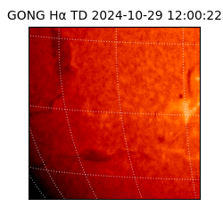 gong - 2024-10-29T12:00:22