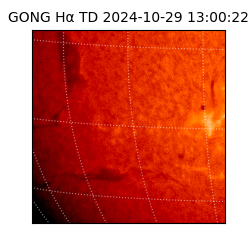 gong - 2024-10-29T13:00:22