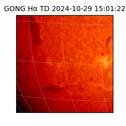 gong - 2024-10-29T15:01:22