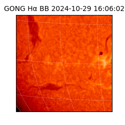 gong - 2024-10-29T16:06:02