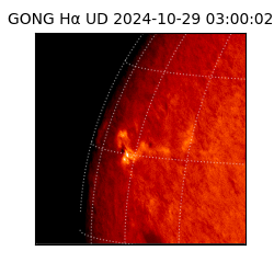 gong - 2024-10-29T03:00:02