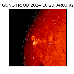 gong - 2024-10-29T04:00:02