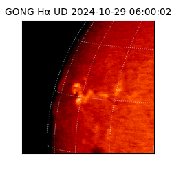 gong - 2024-10-29T06:00:02