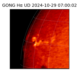 gong - 2024-10-29T07:00:02