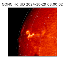 gong - 2024-10-29T08:00:02