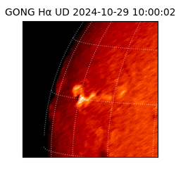 gong - 2024-10-29T10:00:02