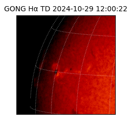 gong - 2024-10-29T12:00:22