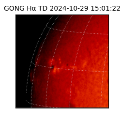 gong - 2024-10-29T15:01:22