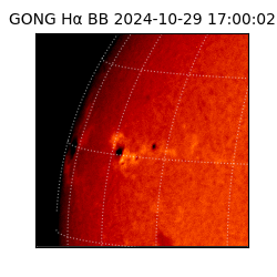 gong - 2024-10-29T17:00:02