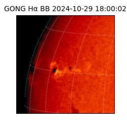 gong - 2024-10-29T18:00:02