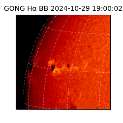 gong - 2024-10-29T19:00:02
