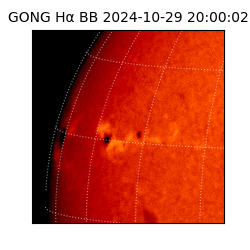 gong - 2024-10-29T20:00:02