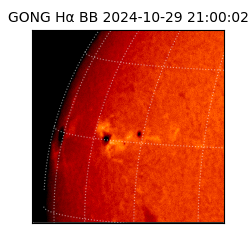 gong - 2024-10-29T21:00:02