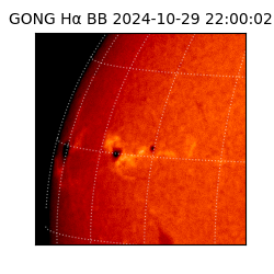 gong - 2024-10-29T22:00:02