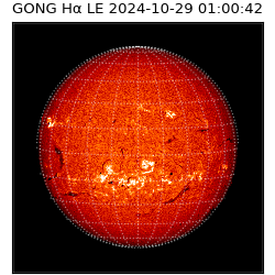 gong - 2024-10-29T01:00:42