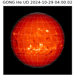 gong - 2024-10-29T04:00:02