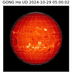 gong - 2024-10-29T05:00:02