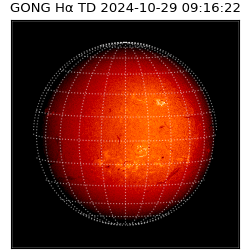 gong - 2024-10-29T09:16:22