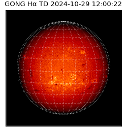 gong - 2024-10-29T12:00:22