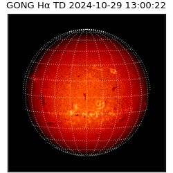 gong - 2024-10-29T13:00:22