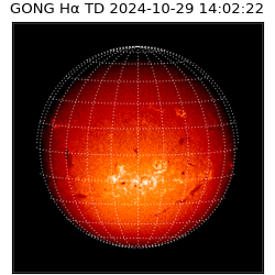 gong - 2024-10-29T14:02:22