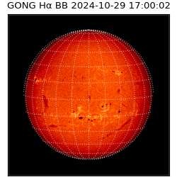 gong - 2024-10-29T17:00:02