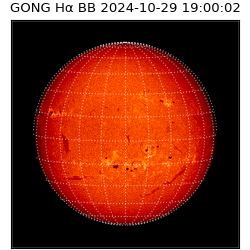 gong - 2024-10-29T19:00:02
