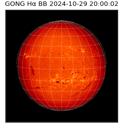 gong - 2024-10-29T20:00:02