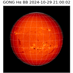 gong - 2024-10-29T21:00:02