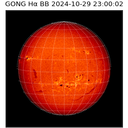 gong - 2024-10-29T23:00:02