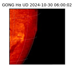 gong - 2024-10-30T06:00:02