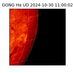 gong - 2024-10-30T11:00:02