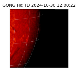 gong - 2024-10-30T12:00:22