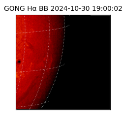 gong - 2024-10-30T19:00:02