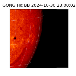 gong - 2024-10-30T23:00:02