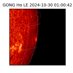 gong - 2024-10-30T01:00:42