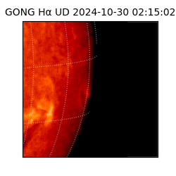 gong - 2024-10-30T02:15:02