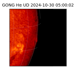 gong - 2024-10-30T05:00:02