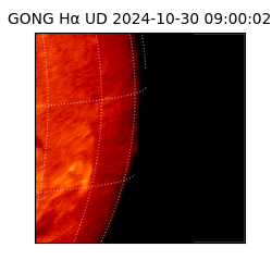 gong - 2024-10-30T09:00:02